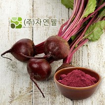 자연웰 천연재료 비트가루 100g 무배, 1개, 비트가루100g