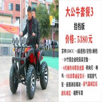 4륜 오프로드 산악전동 ATV 바이크 산악용 스쿠터, 9.大公牛沙滩车套餐3（挂档版）