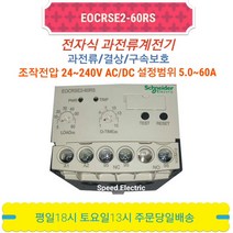 슈나이더 EOCR SE2-60RS 모터보호 전자식과부하계전기, 1개
