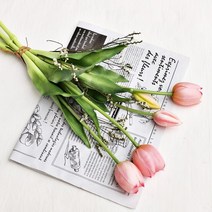 로사리움(rosarium) 프리미엄 망고 튤립 시네신스 - 조화 부케 프리저브드 플라워 인테리어, 오렌지 (포장없음)