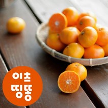 산지직송 제주도 서귀포 고당도 타이벡 조생 하우스 감귤 2.5kg 4.5kg, 노지감귤, 3kg 프리미엄과