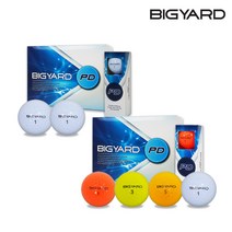 넥센 빅야드 BIGYARD PD 2피스 골프공골프볼 1더즌, 1더즌(12구), 혼합