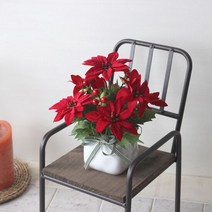 포인세티아 화분(조화), 단품