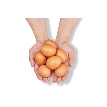 천연미네랄 HACCP 바나듐 달걀 미네랄 건강계란 40구 단백질 철분 유기농특란