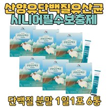 유청단백질 혼합유산균 프로틴쉐이크 결혼준비 운동 여름 몸매관리 결혼준비 사진 예비신랑 신부 가족 고단백 유산균 산양유 프로틴분말 파우더 MBP 헬스