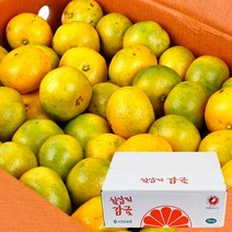 농협공판장 제주 칠십리 노지감귤 5kg/M-2S/47-94과내, 없음