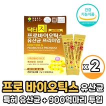 닥터지 지근억 비피더스 유산균 유산간균 비피더스균 특허유산균 갈락토올리고당 프락토올리고당 함유 프로바이오틱스, 2박스, 닥터지 프로바이오틱스 유산균30포