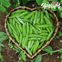 식탐대첩 국내산 콩깍지포함 완두콩 2kg 내외, 없음
