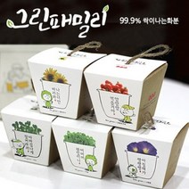그린패밀리 마마의 허브(바질)
