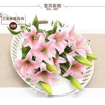 백합 10송이 조화 테라스꾸미기 플랜트월 인조나무 조아트 벽면녹화 조목, 롱로드 옐로우10송이