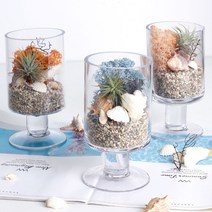 공기정화 천연 가습 DIY 테라리움 틸란드시아 이오난사 스칸디아모스, 라벤더블루, 일자스탠드 DIY