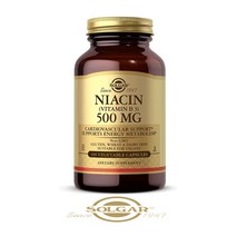 솔가 니아신 비타민 B3 500mg 100캡슐
