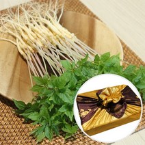 전남 무안 수경재배 새싹삼 선물세트 중 100뿌리, 없음