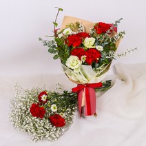 [메시지카드]카네이션 생화 믹스 꽃다발 5월 어버이날 스승의 날 꽃배달, [메시지카드] 클래식레드, 중형(10송이)