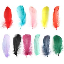 (주)아트인 미디 소프트 깃털(30개), 블랙