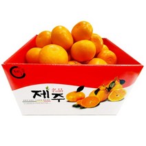 제주 천혜향 -가정용 벌크- 5kg (대) 19~22과, 1개