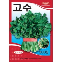 (씨앗) 고수 - 향채 코리앤더 - 향신채 - 고수 씨앗 - 소포장 - 300립