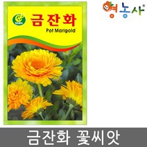 금잔화씨앗 20립, 금잔화