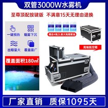 드라이아이스 머신 기계 스모그 포그 결혼식장 무대 머신, D. 3000W 더블관
