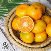 [돌담과수원] 제주 노지 감귤 9kg(꼬마), 단품