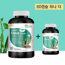 로얄 캐네디언 100배 시서스 차 분말 가루 알약 300 캡슐 +60캡슐 살빼기 추천, 1개