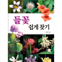 진선BOOKS 들꽃 쉽게 찾기 + 미니수첩 증정, 윤주복
