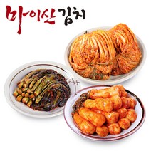 한국농협김치 전북대표 마이산김치 3종6호(포기김치3kg+갓김치1kg+총각김치1kg), 1세트