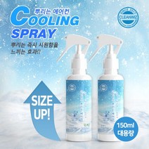 크린위즈 뿌리는에어컨 150ml 대용량 쿨링스프레이 냉각 냉감 땀냄새 탈취 제거 등산 낚시, 02.클래식아로마150ml, 상세페이지 참조2