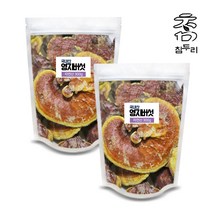 참두리 자연산 영지버섯 300g/600g/900g (국내산), 300g, 2팩