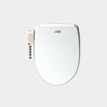 APPLE-868 애플비데 통변비데 필터10개 노즐5개 증정 직수형 순간온수 무료설치 3년무상서비스, 설치기사방문설치