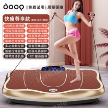 음파운동기 진동운동기 옥주현운동기구 진동머신, 샴페인골드