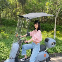 스쿠터캐노피 가리개 스크린 지붕 덮개 선스크린 윈드스크린, 라이트 그레이