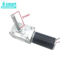 Bringmart-5840-31ZY 12V DC 모터 반전 감속 자동 잠금 연장 샤프트 24V 웜 기어드 고 토크, 24v 160rpm, package B