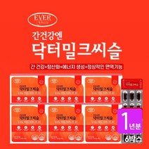 간이 피곤할때 아플때 먹는 아침 피로 해소 밀크씨슬 추천 간수치 비알콜성 알콜성 지방간 간보호제 간기능 개선 보조제, 6BOX(1년분)