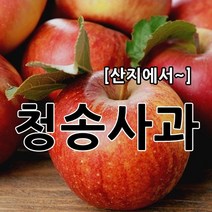 부사 햇사과 싱싱하고 달콤한 소미네 꿀사과, 1박스, 15.가정용사과 10kg 중과 (32과~34과내외)