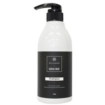 레이나퍼퓸 자연성분 무실리콘 내추럴헤어 샴푸 500g, 샴푸 500g/free