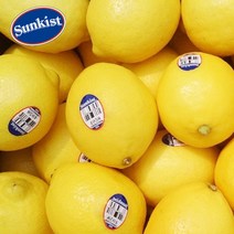 레몬20키로생레몬  최저가 판매 순위