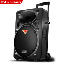 버스킹앰프 일렉 스피커 휴대용 무선, 15인치Hongtianlei (무대)유선마이크
