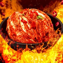 핫땡김치 1kg 국산 맛있는 매운 배추김치, 1, 본상품선택