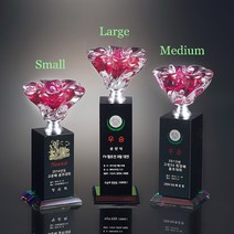 이다음골프 레드볼소품, 레드글라스  블랙글라스