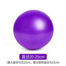 짐볼 필라테스 볼 요가 쉐이핑 피트니스 체조 스위스 어린이용 밸런스 25Cm 공장 직판, 02 PurpleAttachedGiftBl