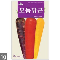 3종 모듬 당근 씨앗 1g - 씨 당근씨앗 당근씨 노랑당근 자색당근 빨간당근 자색당근 주말농장 텃밭, 03_모듬당근(1g)