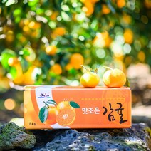 [제주땡큐베리팜] 농장직송 햇 노지감귤 4.5kg 9kg ( 2S/S/M/L ), 1세트, 감귤 4.5kg(중소과2S/S)