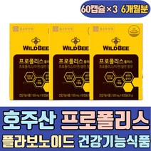 호주산 프로폴리스 20종 플라보노이드 건강기능식품 마늘발효추출물 BEE PROPOLIS 액상 목 구강 기관지 입안 캔디 하루 데일리 맞춤 60대 70대 겨울철 어린이 유아 키즈