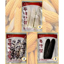 맛있는 찰옥수수 두배맛찰 점백이맛찰 흑맛찰 옥수수 종자 씨앗, 점백이맛찰옥수수 100립