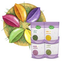 참두리 천연염색가루 200g 특가세트, 1set, 800g