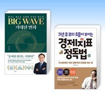 (김영익 세트) BIG WAVE 거대한 변화 + 경제지표 정독법 (전2권)
