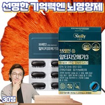 프레쉬자판기 혈행개선 기억력 뇌건강 징코 오메가3 은행추출물 징코빌로바 복합영양제 60캡슐