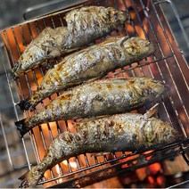 [다정한] 삼천포 자연산100% 전어 4kg (60내외), 단품