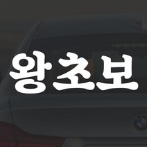 어른킹 빅사이즈 왕초보 D타입 포인트 컬러 데칼 스티커 자동차 드레스업 익스테리어 방수 시트지, D타입- 경차/RV(75x27cm) -홀로그램